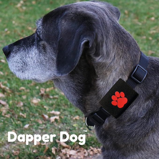 Dapper Dog Pet Tag Silencer and AirTag Holder (Black with Red Paw)