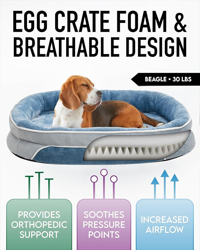 OhGeni Orthopedic Dog Bed for Large Dogs, Dog Couch Design with Egg Foam Support, Removable, Machine Washable Plush Cover and Non-Slip Bottom with Four Sided Bolster Cushion (Washed Blue)