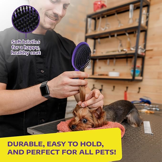 Hertzko Bristle Brush For Dogs and Cats with Long or Short Hair - Dense Bristles Remove Loose Hair from Top Coat, Removes Tangles, Dander, Dust, Trapped Dirt and Dead Undercoat (Single Sided)