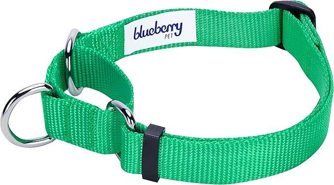 Blueberry Pet Essentials Martingale Safety Training Dog Collar, Emerald, Medium, Heavy Duty Nylon Adjustable Collars for Dogs