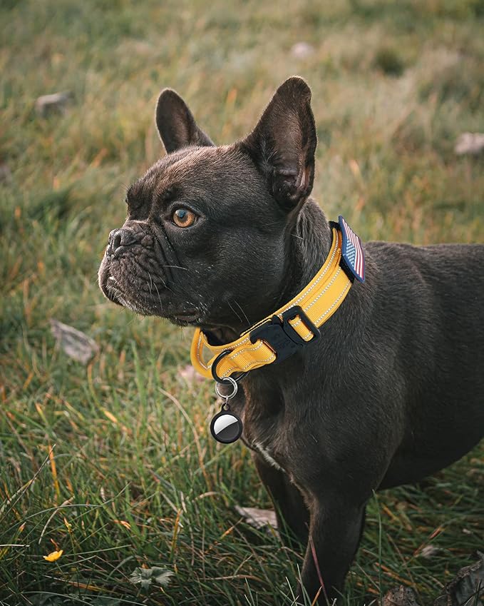 AUBELL Reflective Dog Collar, Tactical Dog Collar Military Dog Collar Adjustable Nylon Dog Collar with Handle and Quick Release Buckle for Medium Large Dogs, with Airtag Case and 2 Patches(Yellow, M)