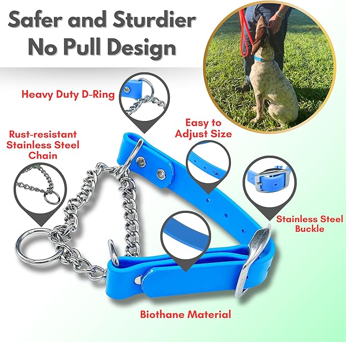Martingale Collar for Dogs, Biothane, Stainless Steel Hardware, No Pull, Made in The USA, Professional Grade, XS Light Blue