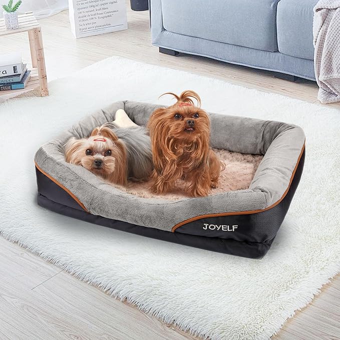 JOYELF Medium Memory Foam Dog Bed Orthopedic Dog Bed & Sofa with Removable Washable Cover and Squeaker Toy as Gift