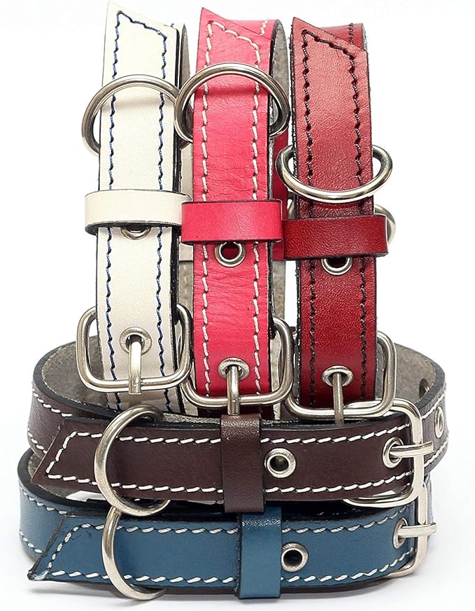 Premium Leather Collars with Stainless Steel Buckles (12"-15", Red)