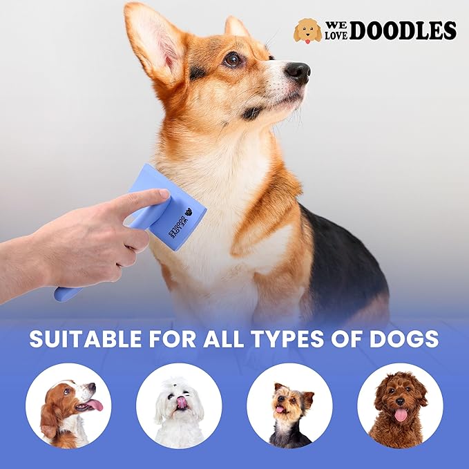 We Love Doodles Dog Slicker Brush for Grooming Pet Hair - Best Brushes For Poodle & Golden Doodle - Long Haired Brush For Dogs - Goldendoodle Long Pin Brush For Dematting (Medium Curved)