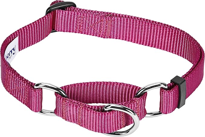 Blueberry Pet Essentials Martingale Safety Training Dog Collar, Very Berry, Large, Heavy Duty Nylon Adjustable Collars for Dogs