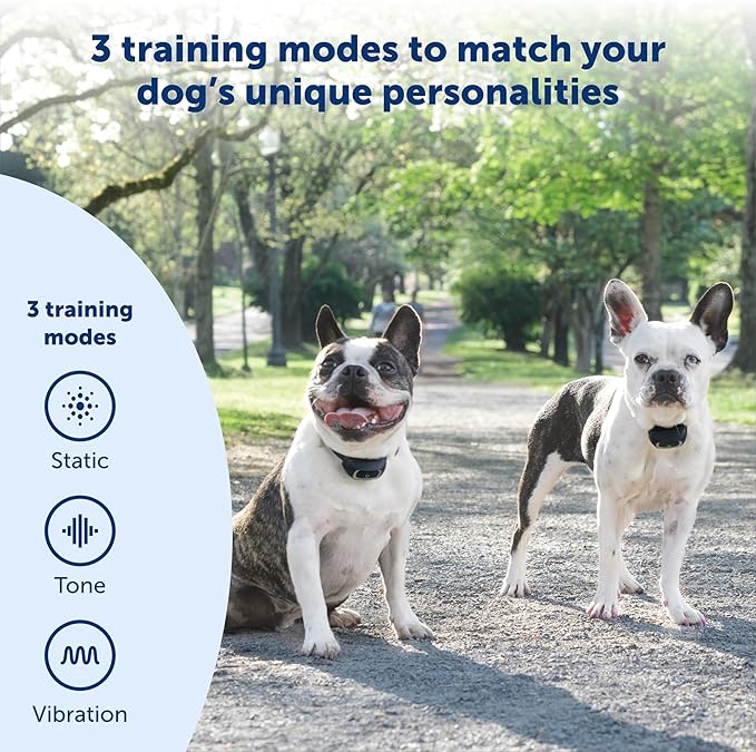 PetSafe Add-A-Dog Remote Training Collar – Smaller Version for Small or Medium Dogs – Choose from Tone, Vibration, or 15 Levels of Static Stimulation – Waterproof and Durable – Rechargeable