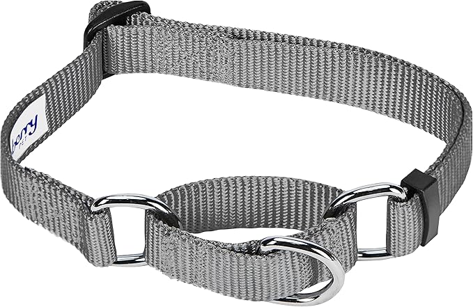 Blueberry Pet Essentials Martingale Safety Training Dog Collar, Flint Gray, Large, Heavy Duty Nylon Adjustable Collars for Dogs