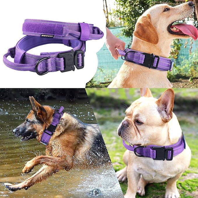AUBELL Reflective Dog Collar, Tactical Dog Collar for Medium Dogs, Heavy Duty Dog Collar with Handle and Metal Buckle Great for Female Dogs, with Airtag Holder and 2 Patches(Purple, M)