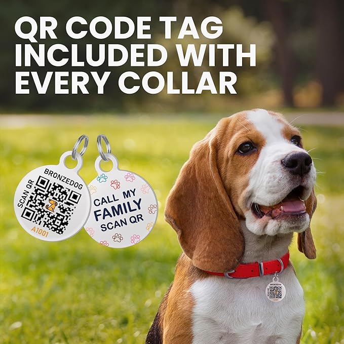 BRONZEDOG Rolled Leather Dog Collar with QR ID Tag Adjustable Soft Round Collars for Small Medium Large Dogs Puppy Cat (Lavender, 9-11 inch)