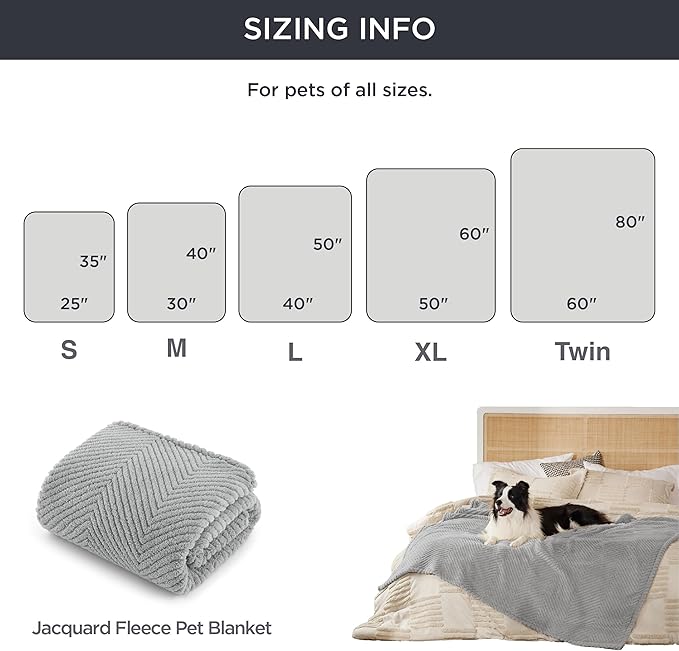 Bedsure Dog Blanket for Medium Dogs Washable - Soft Fluffy Puppy Blanket with Premium 300GSM Coral Fleece, Cozy Calming Cat Blankets for Indoor Cats, Fuzzy Pet Blanket for Kitten Doggy, Light Grey