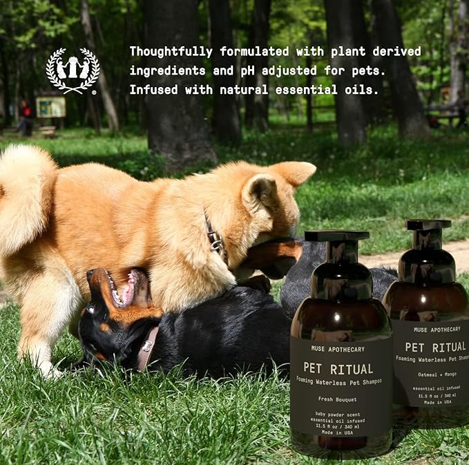 Muse Apothecary Pet Ritual Foaming Waterless Shampoo for Dogs, Waterless Dog Shampoo Foam, No Rinse Dog Shampoo, Waterless Dog Shampoo for Large Dogs - Essential Oils Infused, 11.5oz Oatmeal + Mango