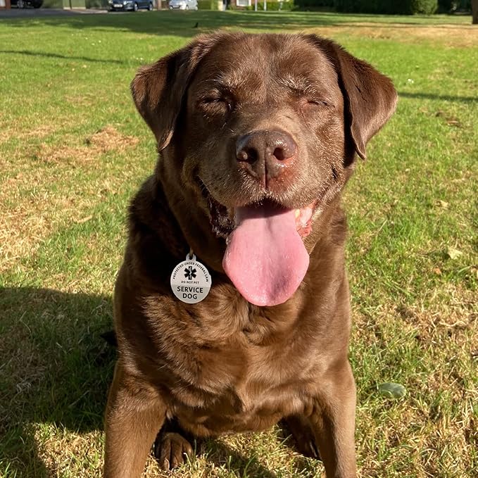 MYLUCKYTAG Service Dog Tag, QR Code Stainless Steel Pet ID Tag Dog Tag, Online Pet Profile, Pet Location Alert Email, Digital Pet Tag, Durable Pet ID, Dog Collar Tag, Engraved Pet Tag