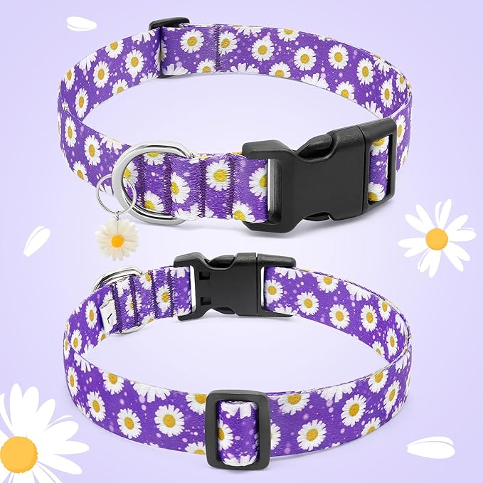 BiPawTi Floral Dog Collar for Girl Boy - Dog Collars Cute Flower Puppy Collar for Extra Small Dog, Soft Adjustable Dogs Collar for Small Dogs with Pretty Daisies Charms (XS, Purple)