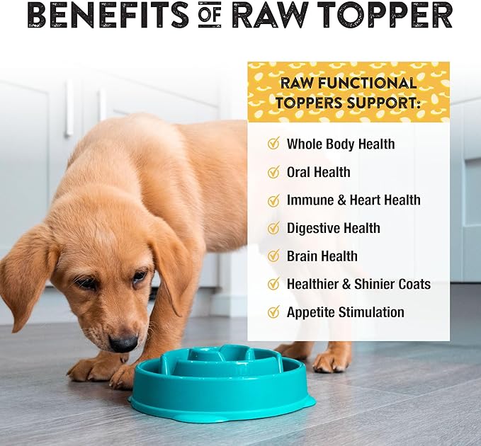 Northwest Naturals Freeze-Dried Whole Chicken Egg Functional Topper - for Dogs & Cats - Healthy, 1 Ingredient, Human Grade Pet Food, All Natural - 4 Oz (Pack of 1)
