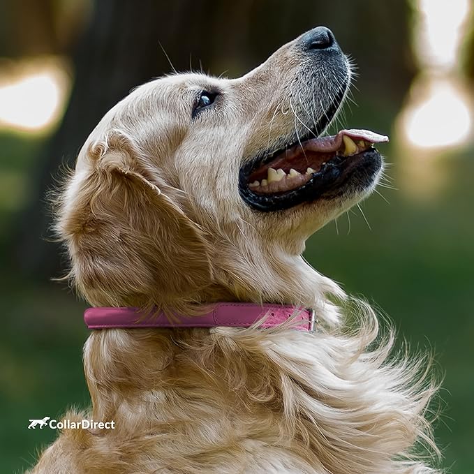 CollarDirect Rolled Leather Dog Collar, Soft Padded Round Puppy Collar, Handmade Genuine Leather Collar Dog Small Large Cat Collars 13 Colors (6-7 Inch, Pink Textured)