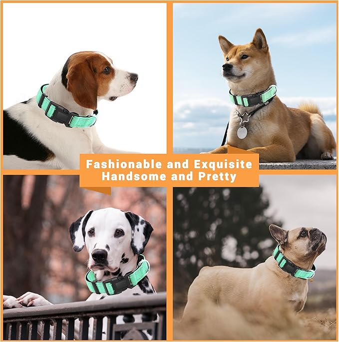 2 Pack Reflective Dog Collar with Safety Locking Buckle, Adjustable Soft Breathable Comfortable Nylon Pet Collar for Small, Medium and Large Dogs, Turquoise, M