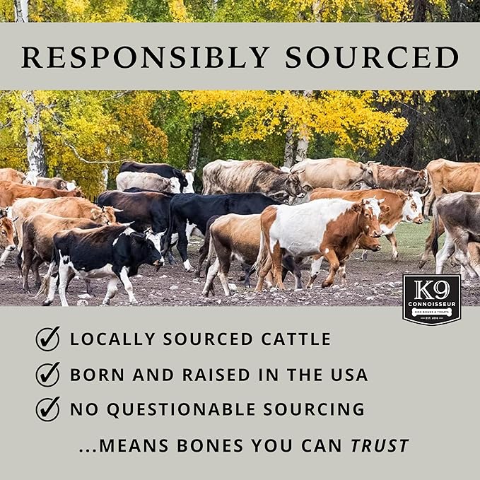 K9 Connoisseur Natural Dog Treats for Large Dogs Aggressive Chewers Made in USA Only Grain & Rawhide Free Long Lasting Marrow Filled Dog Bones for Medium Dogs Also Great Treat for a Small Breed 8 Pack