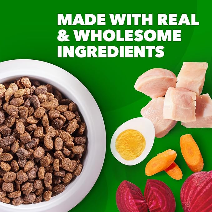 IAMS Proactive Health Minichunks Adult Dry Dog Food with Real Chicken, 40 lb. Bag