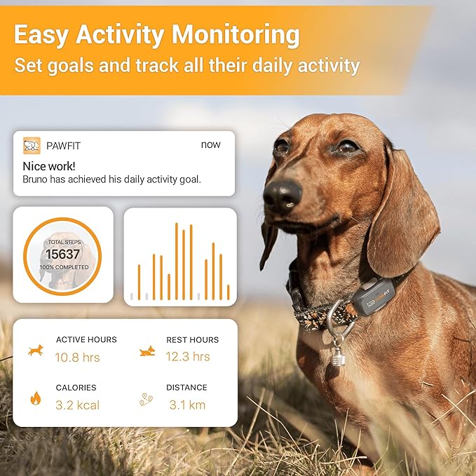 Lite for Small Dogs 4g GPS Tracker | Real Time Tracking | Activity Monitoring |Location History | Unlimited Range | Simply White
