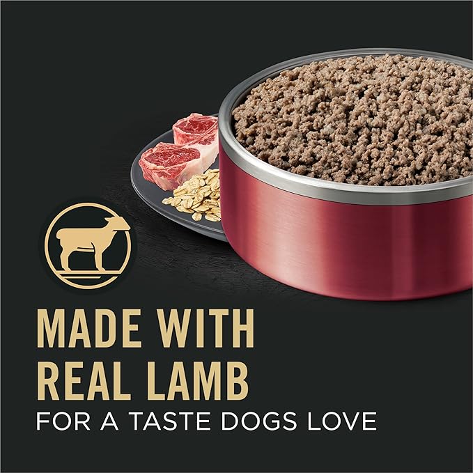 Purina Pro Plan Sensitive Skin and Stomach Dog Food Wet Classic Pate Lamb and Oat Meal Entrée - (Pack of 12) 13 oz. Cans