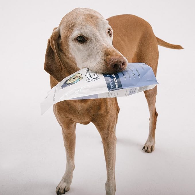 Under the Weather Bland Diet for Dogs | Easy to Digest for Sick Dogs |Always Be Ready| Contains Electrolytes - All Natural Freeze Dried 100% Human Grade Meats| 1 Pack- Rice Turkey & Sweet Potato - 6oz