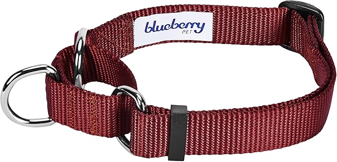 Blueberry Pet Essentials Martingale Safety Training Dog Collar, Fired Brick, Small, Heavy Duty Nylon Adjustable Collars for Dogs