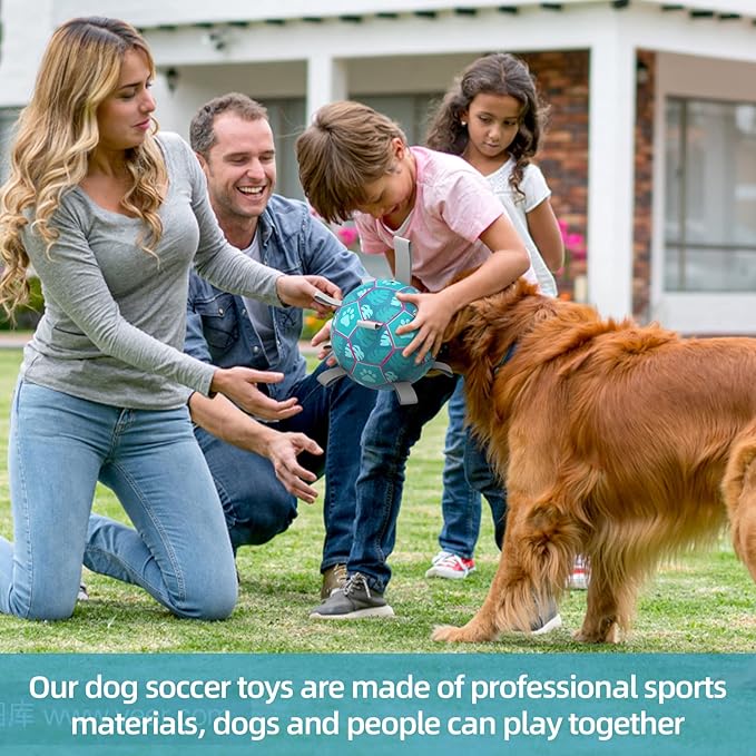 QDAN Dog Toys Soccer Ball, Interactive Dog Toys for Tug of War, Puppy Birthday Gifts,Dog Tug Toy, Dog Water Toy, Durable Dog Balls for Small & Medium Dogs-Lake Blue(8 inch)