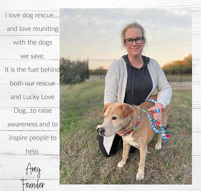 Lucky Love Dog Wide Dog Collar - Adjustable, Durable, Soft Webbing, & Comfortable 1.5 inch Wide Collar for Dogs Male and Female - in Nacho Pattern with Strong Buckle, Medium Size