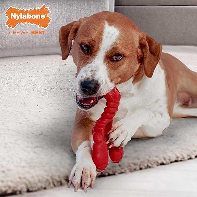 Nylabone Power Chew Lobster Dog Toy Filet Mignon X-Large/Souper - 50+ lbs. (1 Count)
