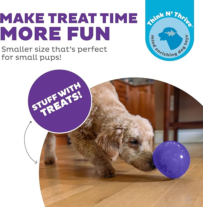 Outward Hound by Planet Dog Lil' Snoop Interactive Treat Dispensing Dog Toy, Small, Purple