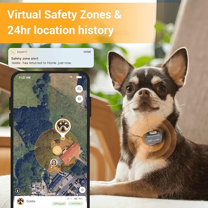 Lite for Small Dogs 4g GPS Tracker | Real Time Tracking | Activity Monitoring |Location History | Unlimited Range | Simply White