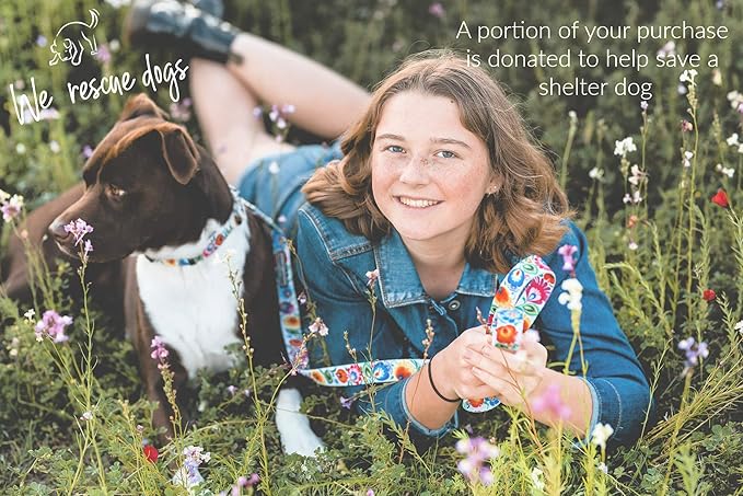 Lucky Love Dog - Adjustable Dog Collar with Easy Click Buckle for Small to Large Dogs, Durable, & Comfortable Collar for Male & Female Dogs, Pet Collar for Puppies & Adult Dogs - Ladybird, X-Small