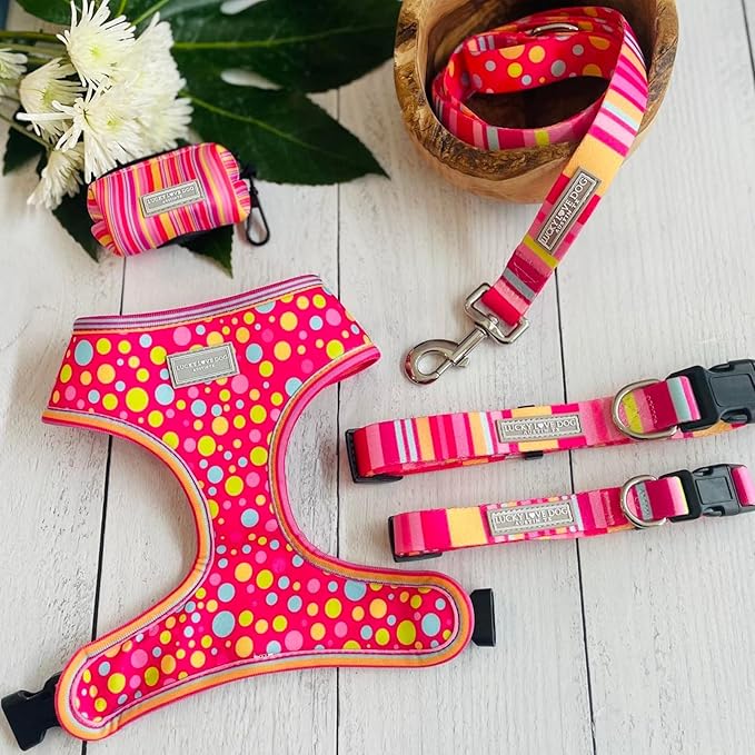 Lucky Love Dog, Colorful Stripes Dog Collar, Yellow, Pink, Blue Color Dog Collar, Cute Dog Collar for Girl Dogs - (Large, Molly Collar)