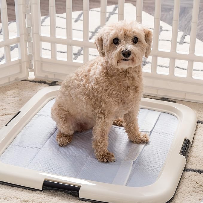 IRIS USA 24-inch 6 Panel Exercise Pet Playpen with Door, Black + IRIS USA Pee Pads Square Pet Training Pad Holder for Dogs, Dark Gray
