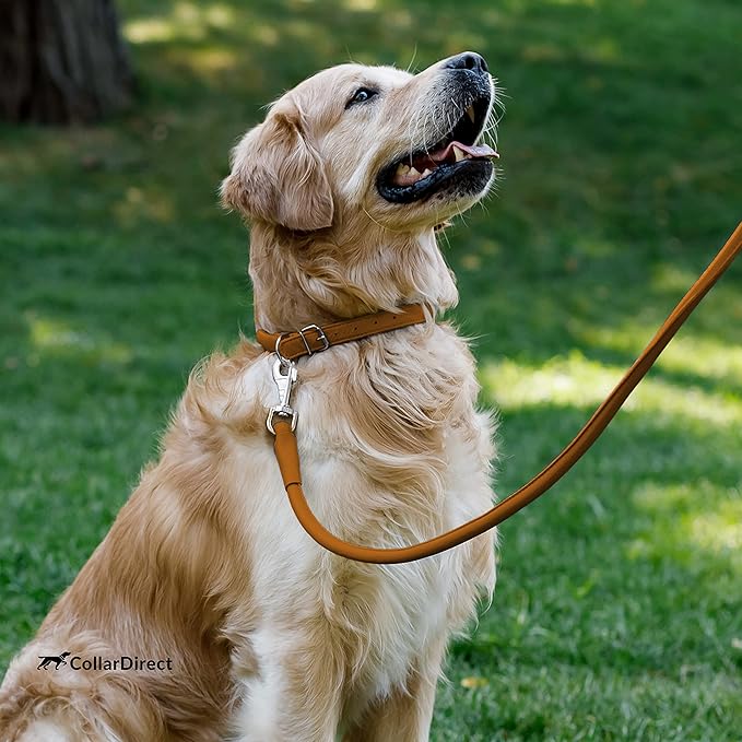CollarDirect Rolled Leather Dog Collar, Soft Padded Round Puppy Collar, Handmade Genuine Leather Collar Dog Small Large Cat Collars 13 Colors (18-22 Inch, Cinnamon Textured)