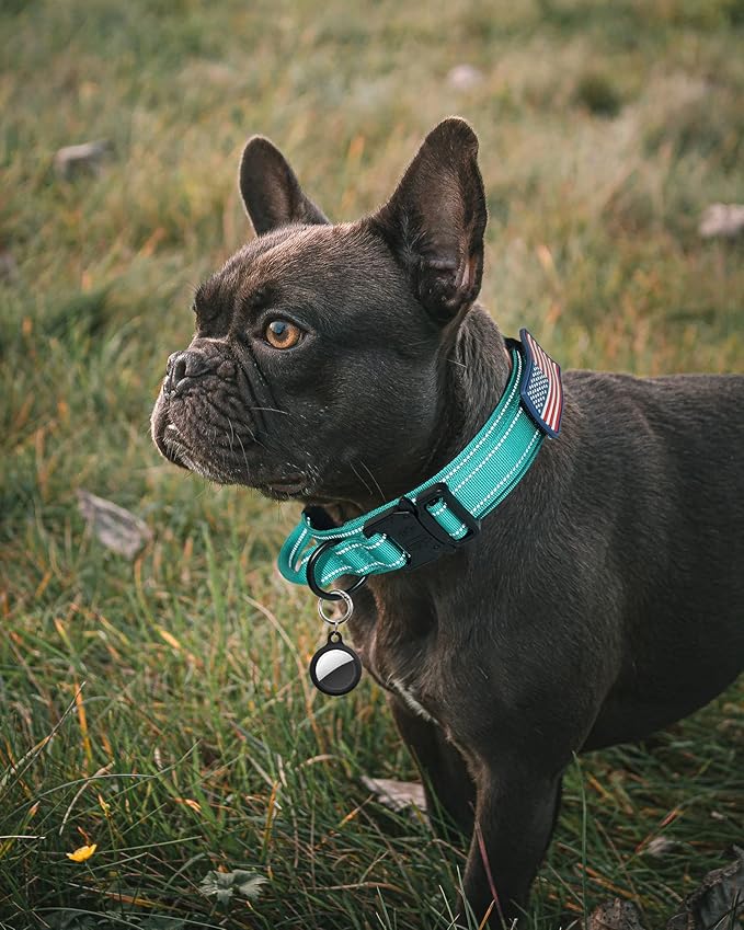 AUBELL Tactical Dog Collar - Adjustable Military Training Nylon Reflective Collar with Handle and Heavy Duty Durable Metal Buckle for Medium Dogs, with Airtag Holder and Patches(Teal, M)