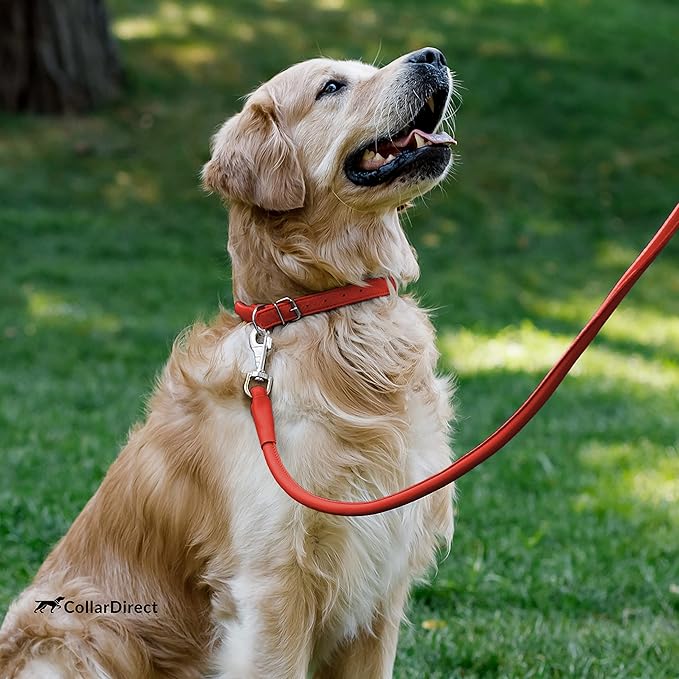 CollarDirect Rolled Leather Dog Collar, Soft Padded Round Puppy Collar, Handmade Genuine Leather Collar Dog Small Large Cat Collars 13 Colors (12-15 Inch, Red Textured)