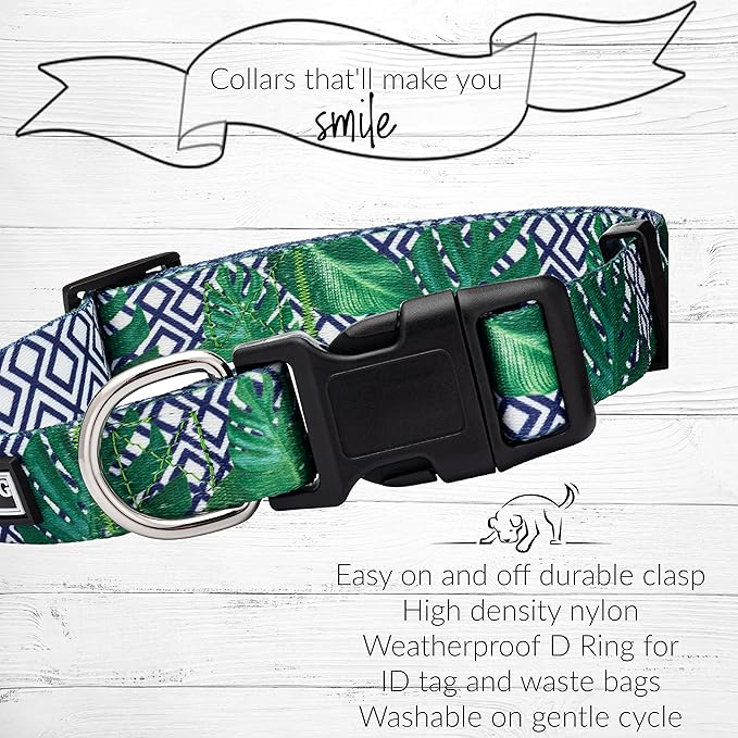 Lucky Love Dog Collar and Leash Set, Beautiful & Vivid Patterns, Easy On & Off Clasp Accessory (Blue Laguna, XS Combo)