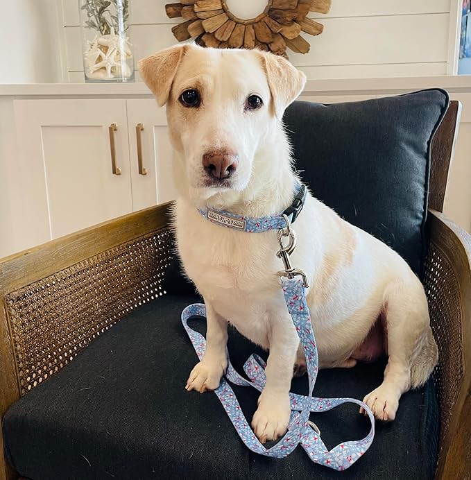 Lucky Love Dog Collar, Cute Winter Dog Collars for Medium Dogs, Blue Snowflake Dog Collar for Male and Female Dogs, Part of Purchase Donated to Dog Rescue - (Winterblue Collar, M)