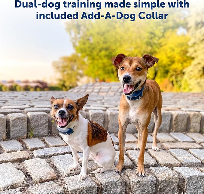 PetSafe 600 Yard Remote Training Collar – 2 Dog Kit – Tone, Vibration & 15 Levels of Safe & Humane Static Stimulation, Medium Range Option to Train Off Leash Dogs, Waterproof, Durable, Rechargeable