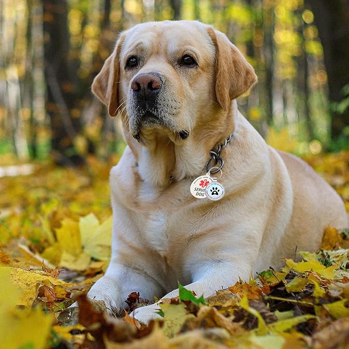 Dog Tags Personalized QR Code and Do Not Pet Dog Tags, Modifiable Pet Online Profile, Multiple Emergency Contact, Scan QR Code Send Pet GPS Location Email