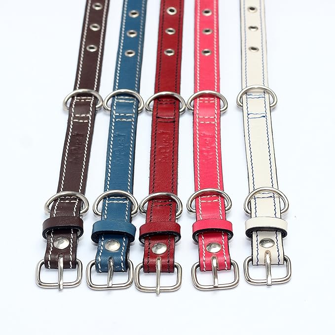 Premium Leather Collars with Stainless Steel Buckles (9"-12", Pink)