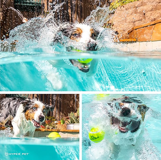 Hyper Pet Tennis Balls for Dogs (Pet Safe Dog Ball Dog Tennis Balls for Exercise & Training) Dog Ball Interactive Dog Toys work with Hyper Pet K9 Kannon K2 Dog Ball Launcher - 4 Pack 2.5" Green