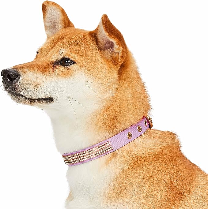 Blueberry Pet Sparkling Rhinestone Adjustable Dog Collar with Metal Buckle, Lavender, Neck 13-16.5", for Medium Breed