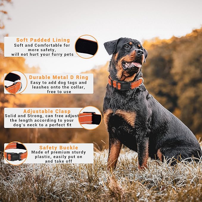 2 Pack Reflective Dog Collar with Safety Locking Buckle, Adjustable Soft Breathable Comfortable Nylon Pet Collar for Small, Medium and Large Dogs, Orange, XL