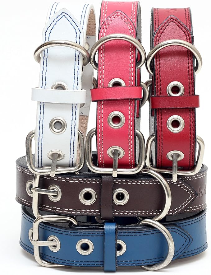 Premium Leather Collars with Stainless Steel Buckles (21"-24", Blue)