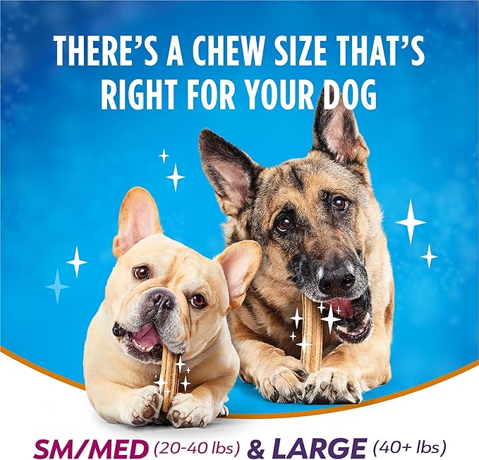 Purina Dentalife Plus Immune Support Chicken, Apple and Blueberry Flavor Large Dog Dental Chews, MP - 19 ct. Pouch