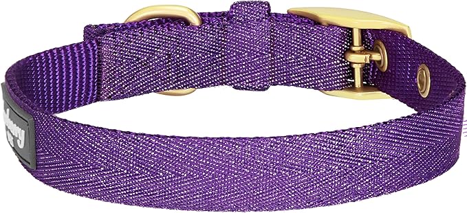 Blueberry Pet 6 Colors The Most Coveted Designer Mixed Metallic Thread Adjustable Dog Collar in Dazzling Tinsel Purple with Metal Buckle, Neck 9-12.5", for Small Breed