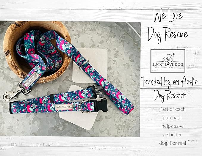 Lucky Love Dog, Whimsical Bird Dog Collar, Vivid Pink, Mint, Blue Flowers X-Small Dog Collar, Adjustable Collars for Female Male Dogs - (XS, Carriebelle Collar)